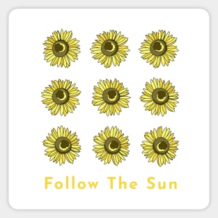 Sunflowers in square Follow the sun Sticker